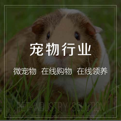 宝鸡宠物