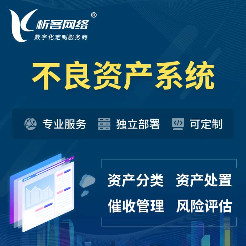 宝鸡不良资产管理系统